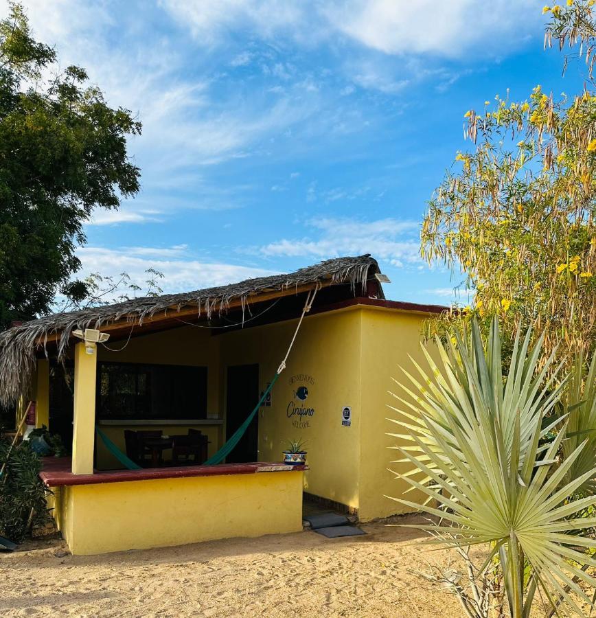 Bungalow Cirujano Apartment Cabo Pulmo Ngoại thất bức ảnh