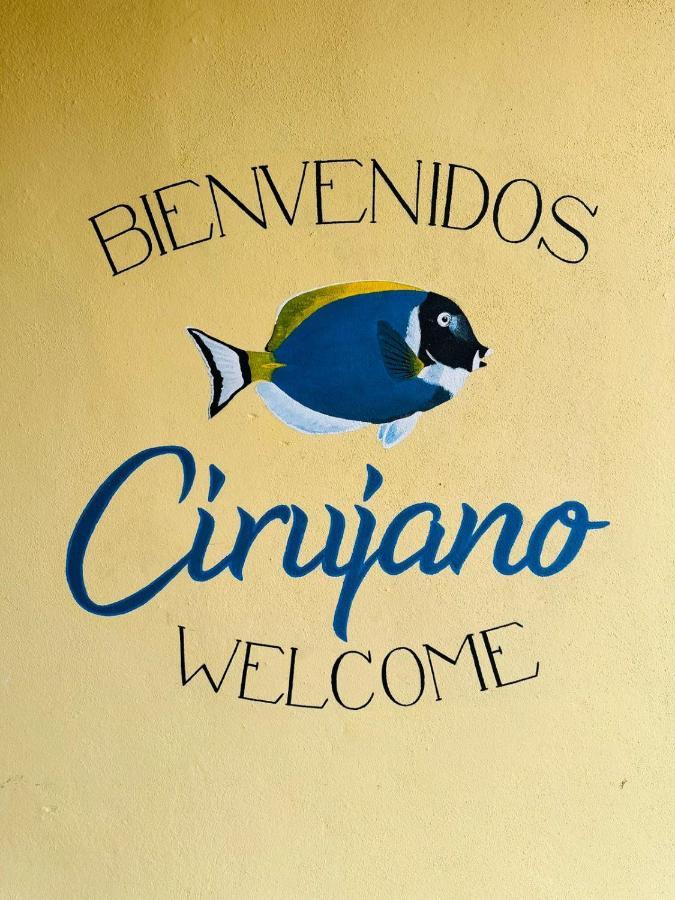 Bungalow Cirujano Apartment Cabo Pulmo Ngoại thất bức ảnh