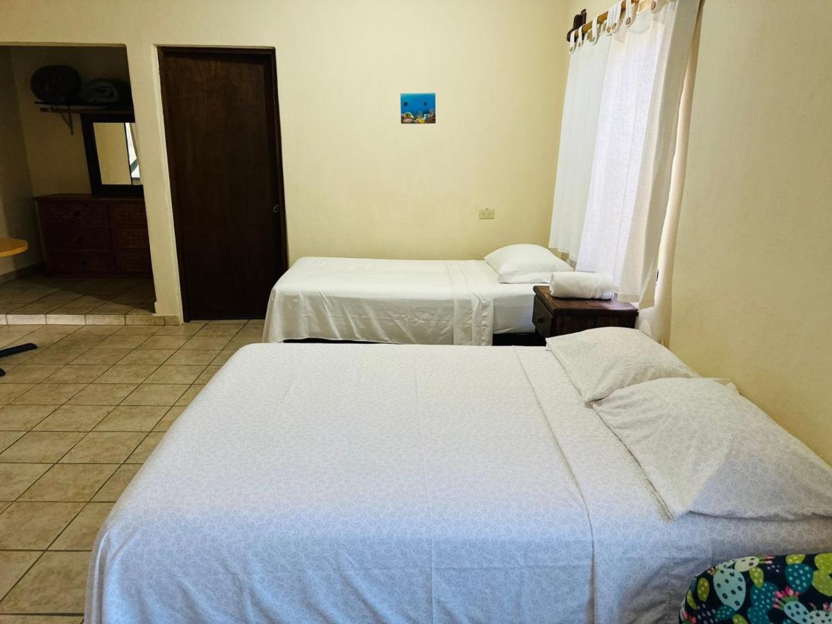 Bungalow Cirujano Apartment Cabo Pulmo Ngoại thất bức ảnh